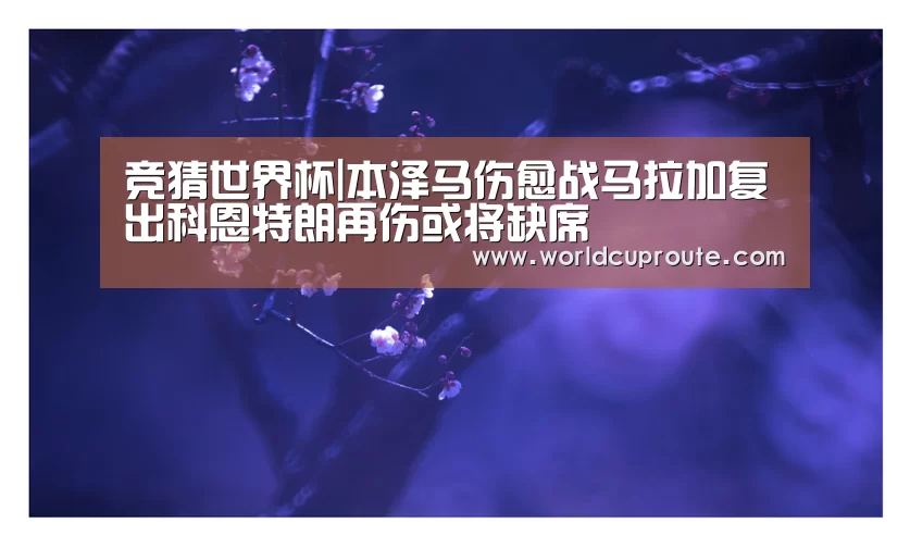 竞猜世界杯|本泽马伤愈战马拉加复出科恩特朗再伤或将缺席(图4) 世界杯竞猜平台官网