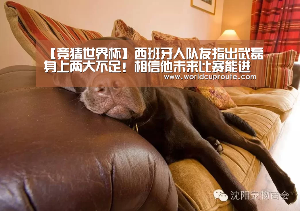 【竞猜世界杯】西班牙人队友指出武磊身上两大不足!相信他未来比赛能进更多球(图2) 2026世界杯竞猜