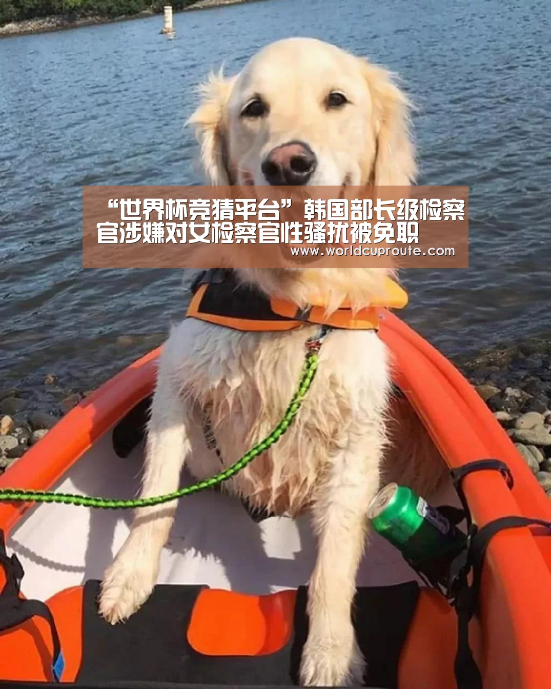 “世界杯竞猜平台”韩国部长级检察官涉嫌对女检察官性骚扰被免职