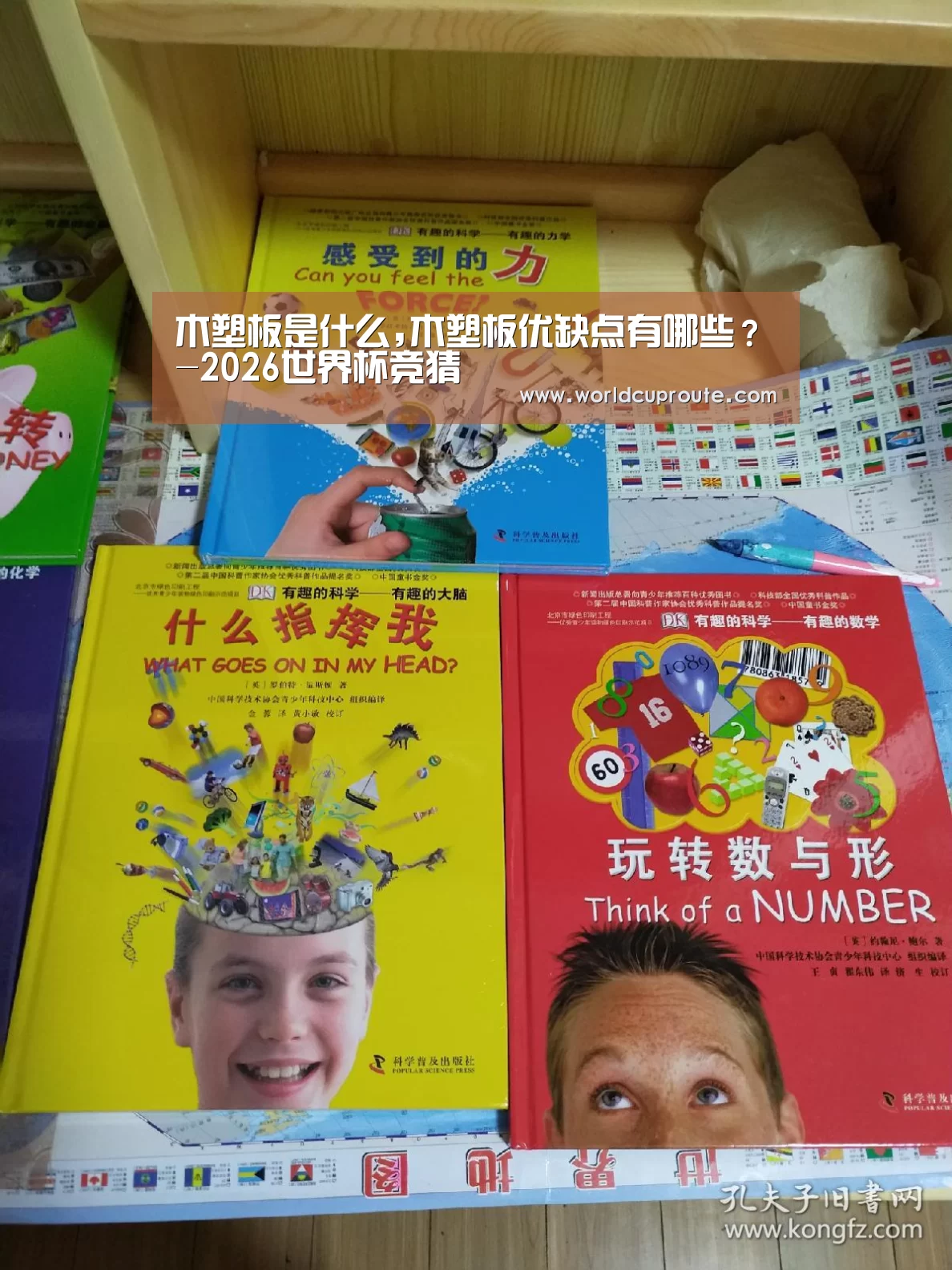 木塑板是什么,木塑板优缺点有哪些?-2026世界杯竞猜(图1) 2026世界杯竞猜