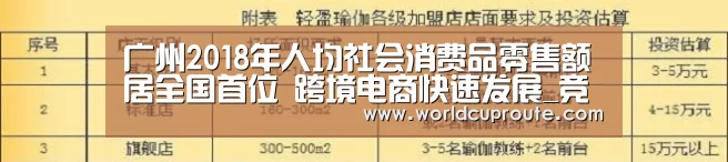 广州2018年人均社会消费品零售额居全国首位 跨境电商快速发展_竞猜世界杯(图1) 世界杯竞猜平台