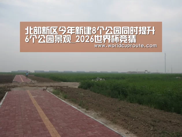 2026世界杯竞猜