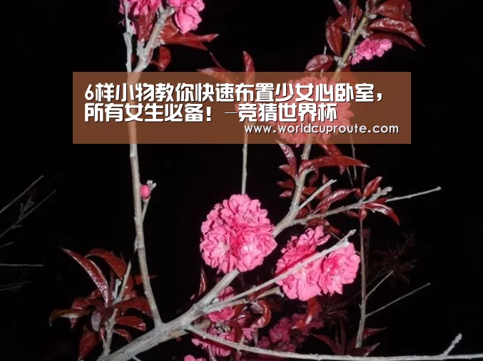 6样小物教你快速布置少女心卧室,所有女生必备!-竞猜世界杯(图2) 世界杯竞猜平台官网