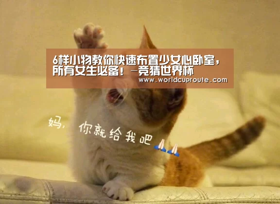 6样小物教你快速布置少女心卧室,所有女生必备!-竞猜世界杯(图3) 2026世界杯竞猜