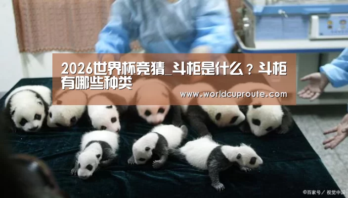 世界杯竞猜平台