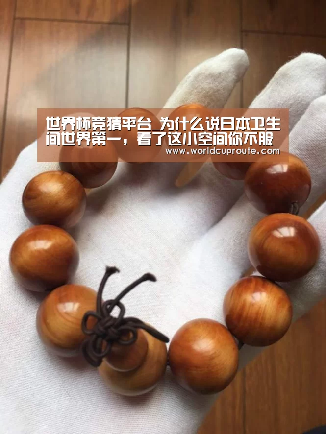世界杯竞猜平台_为什么说日本卫生间世界第一,看了这小空间你不服都不行(图3) 世界杯竞猜平台官网